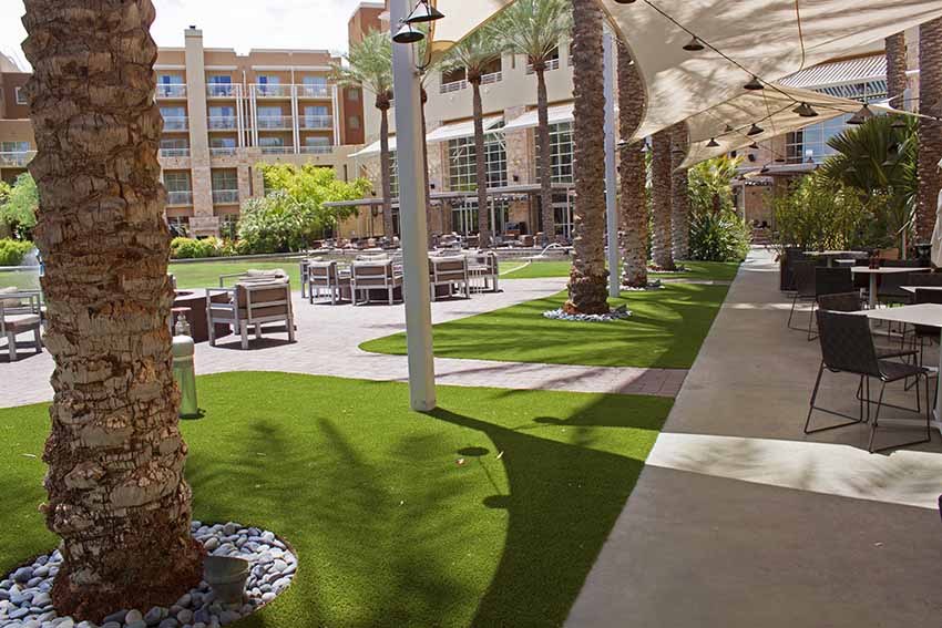 Marriott Desert Ridge Artificial Grass ST354